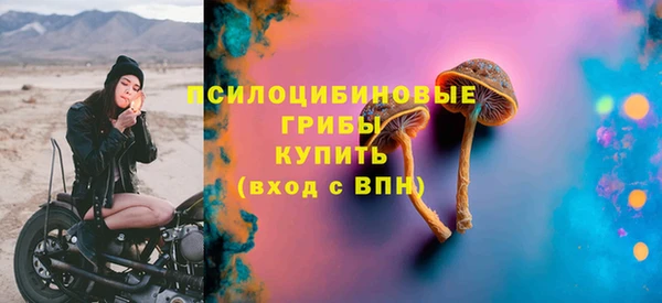молекула духа Инсар