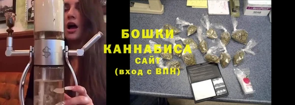 молекула духа Инсар