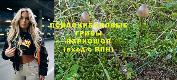скорость Иннополис