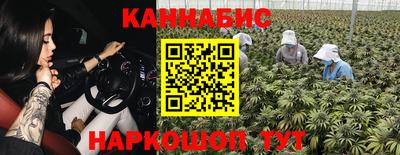 индика Ставрополь