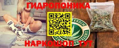 индика Ставрополь