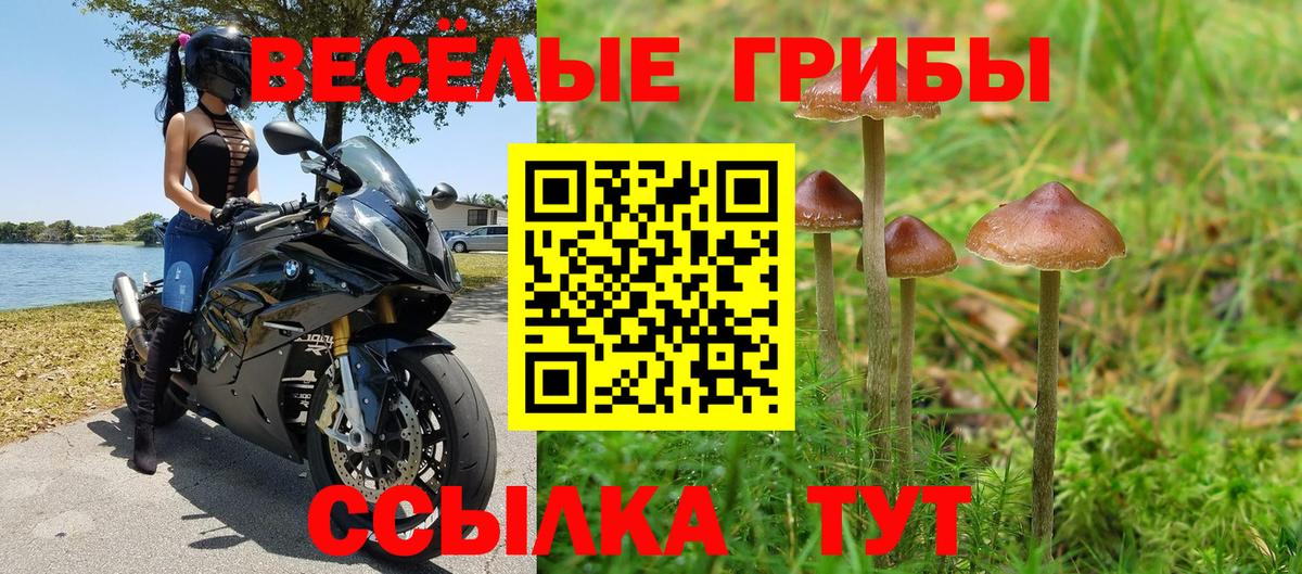 Псилоцибиновые грибы GOLDEN TEACHER Новый Уренгой