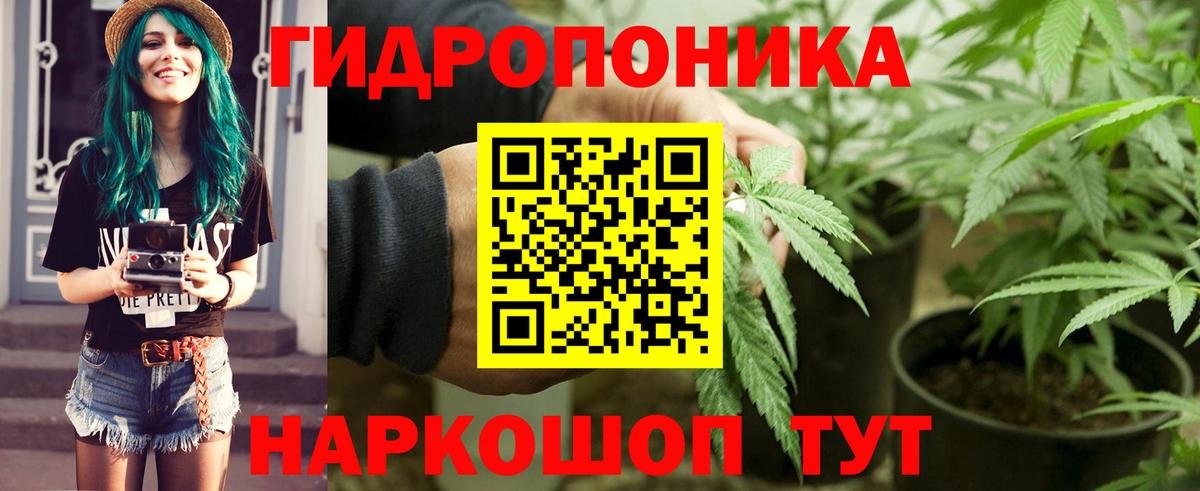 Бошки марихуана SATIVA & INDICA  Вход с VPN  Новый Уренгой  Конопля White Widow  Каннабис Amnesia 